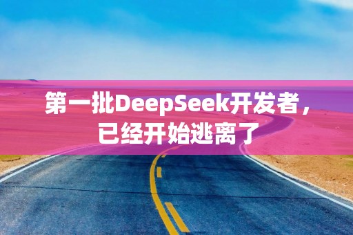 第一批DeepSeek开发者，已经开始逃离了