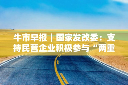 牛市早报｜国家发改委：支持民营企业积极参与“两重两新”