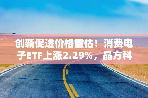 创新促进价格重估！消费电子ETF上涨2.29%，晶方科技涨停