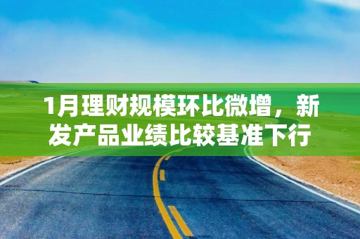 1月理财规模环比微增，新发产品业绩比较基准下行