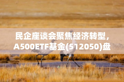 民企座谈会聚焦经济转型，A500ETF基金(512050)盘中上涨，成交额已超23亿元