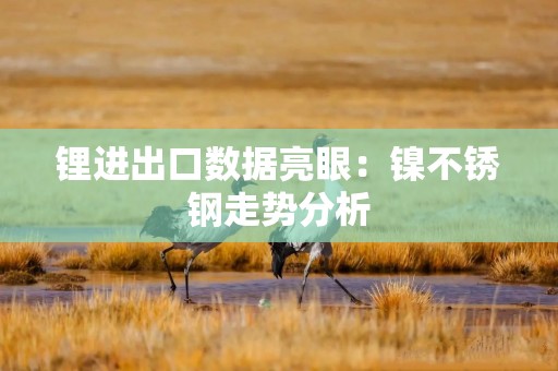 锂进出口数据亮眼：镍不锈钢走势分析