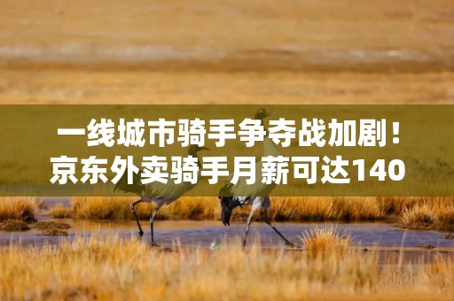 一线城市骑手争夺战加剧！京东外卖骑手月薪可达14000元，高薪之下外卖市场生变