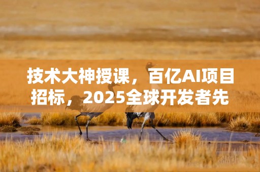技术大神授课，百亿AI项目招标，2025全球开发者先锋大会等你来