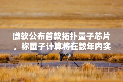微软公布首款拓扑量子芯片，称量子计算将在数年内实现