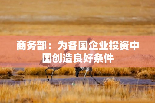 商务部：为各国企业投资中国创造良好条件