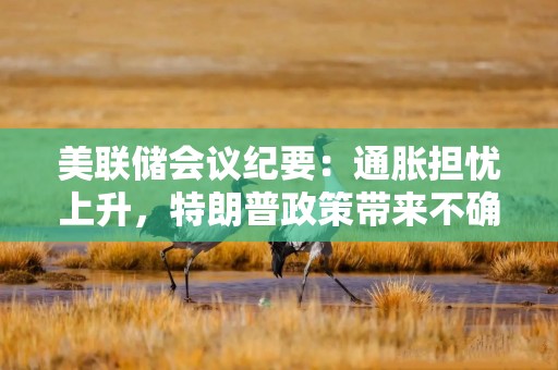 美联储会议纪要：通胀担忧上升，特朗普政策带来不确定性