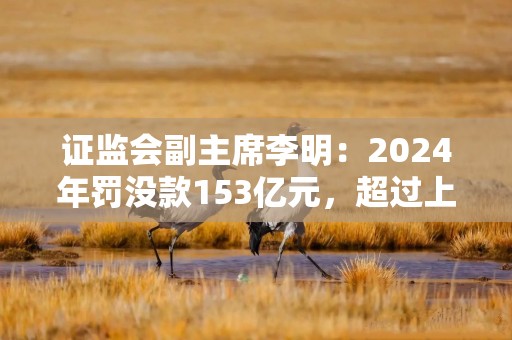 证监会副主席李明：2024年罚没款153亿元，超过上一年两倍