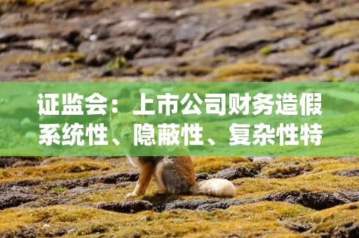 证监会：上市公司财务造假系统性、隐蔽性、复杂性特征越发突出