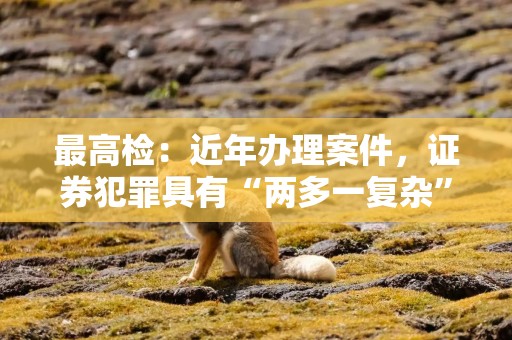 最高检：近年办理案件，证券犯罪具有“两多一复杂”特点