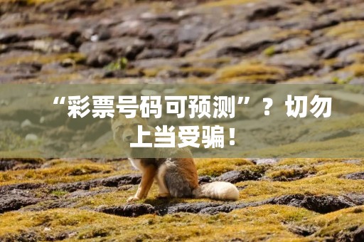 “彩票号码可预测”？切勿上当受骗！