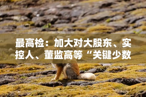 最高检：加大对大股东、实控人、董监高等“关键少数”的追责力度