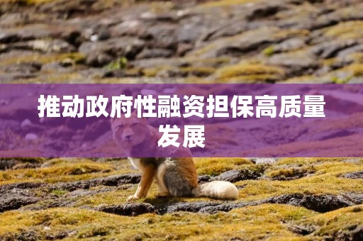 推动政府性融资担保高质量发展