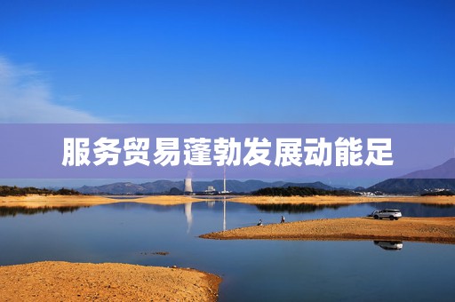 服务贸易蓬勃发展动能足