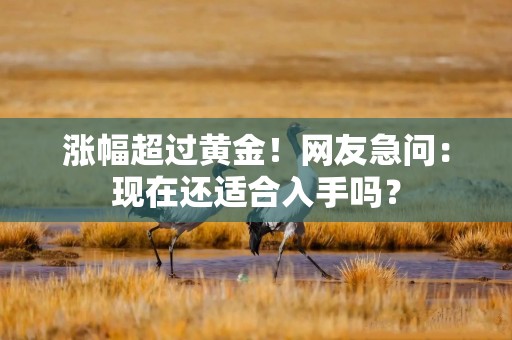 涨幅超过黄金！网友急问：现在还适合入手吗？
