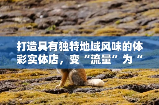 打造具有独特地域风味的体彩实体店，变“流量”为“留量”