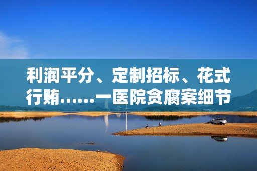 利润平分、定制招标、花式行贿……一医院贪腐案细节曝光
