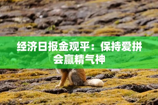 经济日报金观平：保持爱拼会赢精气神