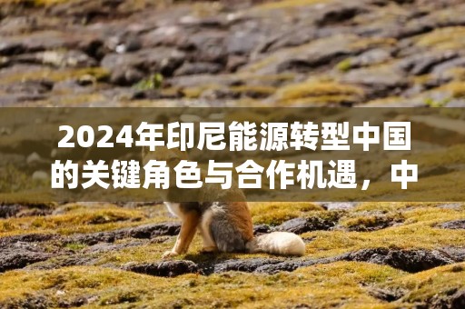 2024年印尼能源转型中国的关键角色与合作机遇，中印战略合作现状