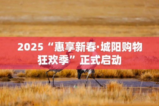 2025“惠享新春·城阳购物狂欢季”正式启动