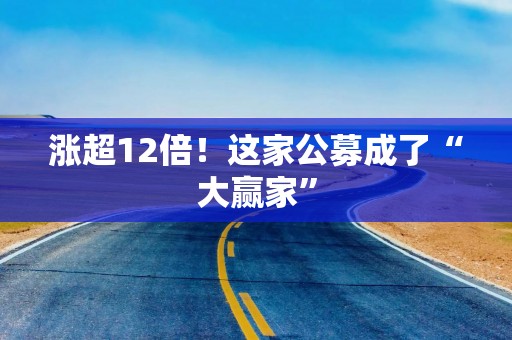 涨超12倍！这家公募成了“大赢家”