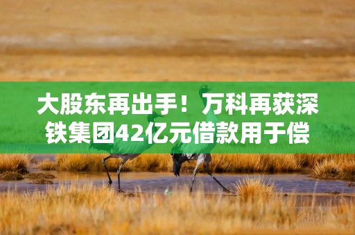 大股东再出手！万科再获深铁集团42亿元借款用于偿还公开债务