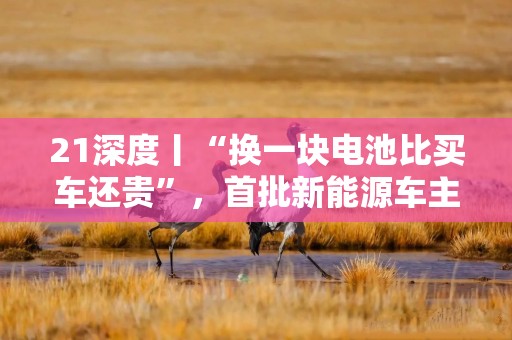 21深度丨“换一块电池比买车还贵”，首批新能源车主的八年之痒