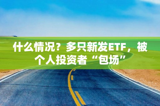 什么情况？多只新发ETF，被个人投资者“包场”