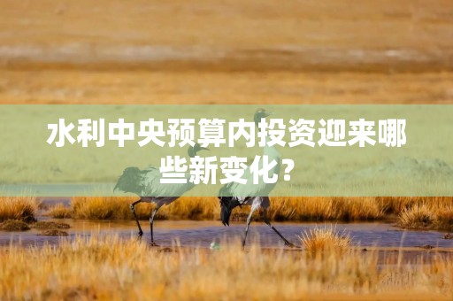 水利中央预算内投资迎来哪些新变化？