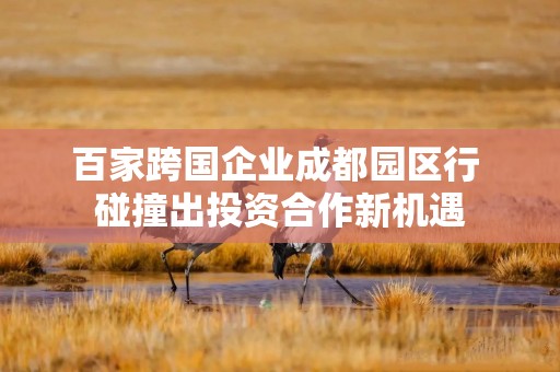 百家跨国企业成都园区行 碰撞出投资合作新机遇