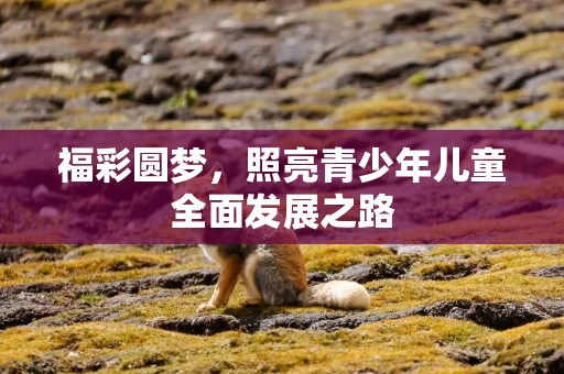 福彩圆梦，照亮青少年儿童全面发展之路