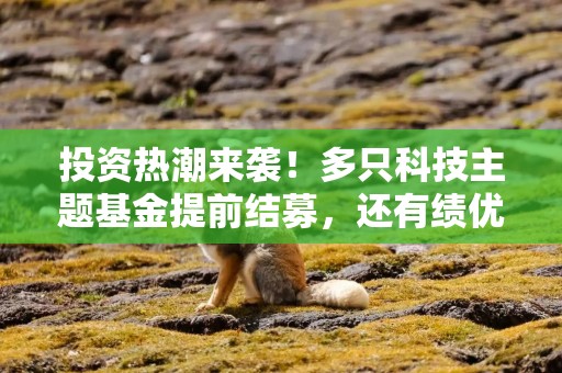 投资热潮来袭！多只科技主题基金提前结募，还有绩优基金开启限购