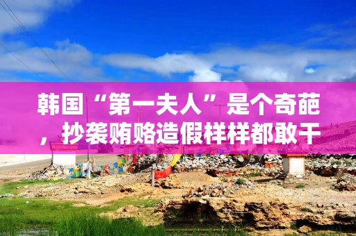 韩国“第一夫人”是个奇葩，抄袭贿赂造假样样都敢干