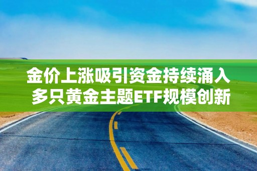 金价上涨吸引资金持续涌入 多只黄金主题ETF规模创新高