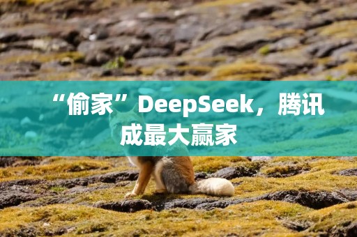“偷家”DeepSeek，腾讯成最大赢家