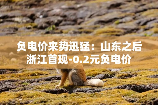 负电价来势迅猛：山东之后浙江首现-0.2元负电价