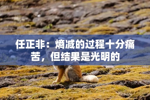 任正非：熵减的过程十分痛苦，但结果是光明的