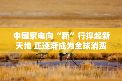 中国家电向“新”行撑起新天地 正逐渐成为全球消费者“心头好”
