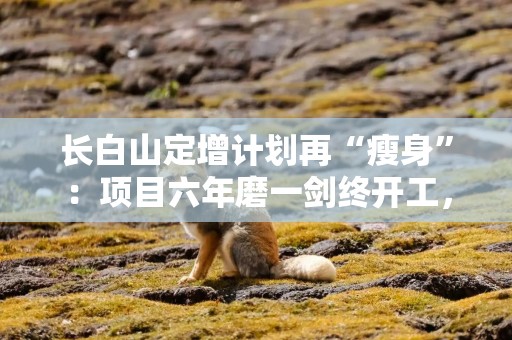 长白山定增计划再“瘦身”：项目六年磨一剑终开工，沈白高铁开通能否撬动市场新增长？