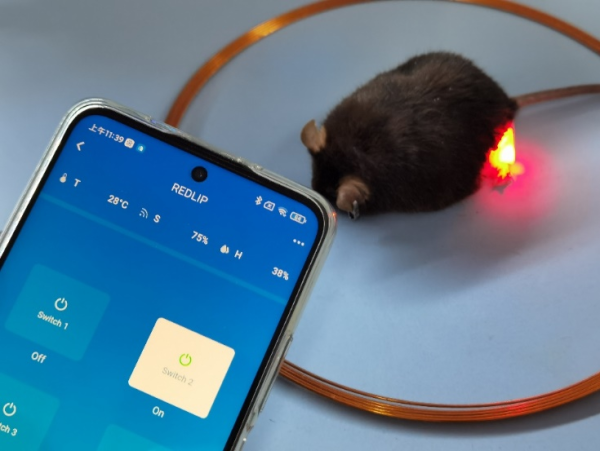 追问｜照照红光就能减肥降血糖？光控基因技术安全吗？