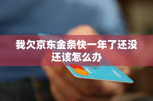 我欠京东金条快一年了还没还该怎么办