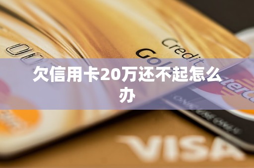 欠信用卡20万还不起怎么办