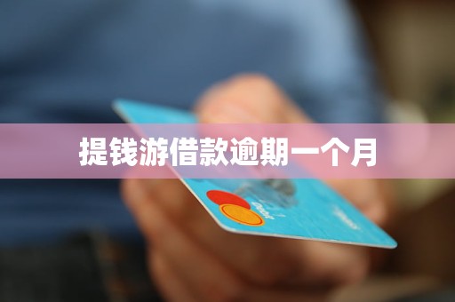 提钱游借款逾期一个月