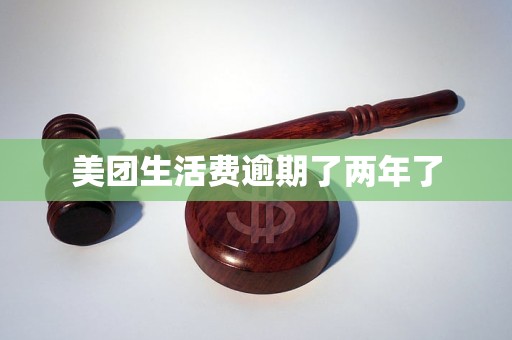 美团生活费逾期了两年了