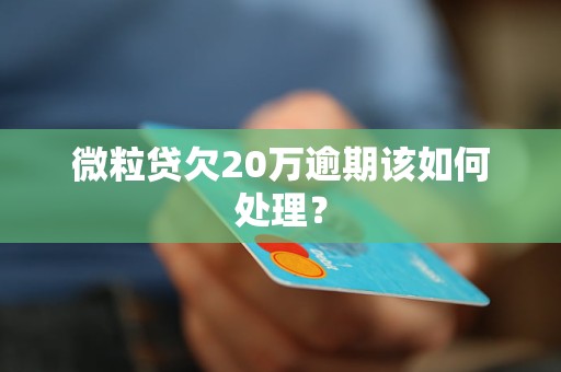 微粒贷欠20万逾期该如何处理？