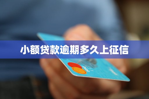 小额贷款逾期多久上征信