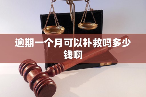 逾期一个月可以补救吗多少钱啊