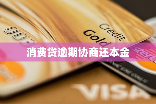 消费贷逾期协商还本金