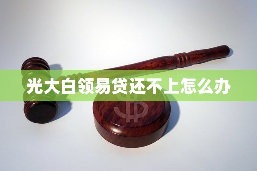 光大白领易贷还不上怎么办