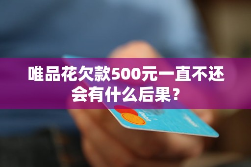 唯品花欠款500元一直不还会有什么后果？